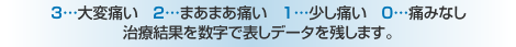 3…大変痛い 2…まあまあ痛い 1…少し痛い 0…痛みなし　　治療結果を数字で表しデータを残します。