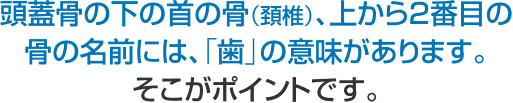 頭蓋骨の下の首の骨（頚椎）、上から２番目の骨の名前には、「歯」の意味があり ます。 そこがポイントです。