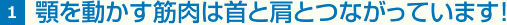 1 顎を動かす筋肉は首と肩とつながっています！