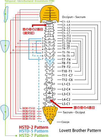 生理痛が楽になるってホント？！